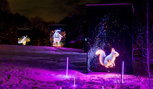 Площадка проекта «Зима в Москве» на Воробьевых горах стала одной из самых популярных в столице