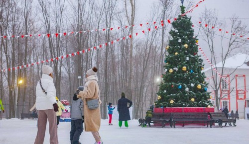 В усадьбе Воронцово продлили работу катков