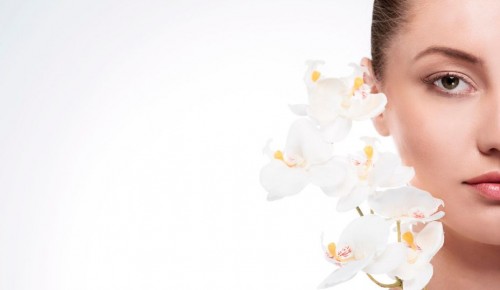 Девятиклассница школы №1212 победила в чемпионате «Московские профессионалы»