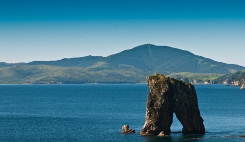 Фотовыставка «Морские жители Земли Леопарда» откроется в Дарвиновском музее