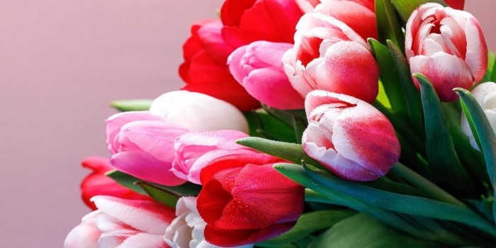 Центр «Атлант» на ул. Новаторов проведет концерт «Мелодии весны» 6 марта