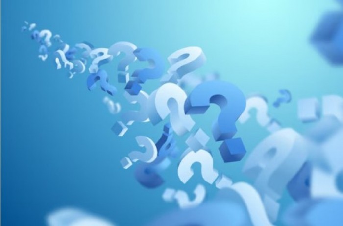 Молодежная палата Ясенева провела познавательный квиз для школьников