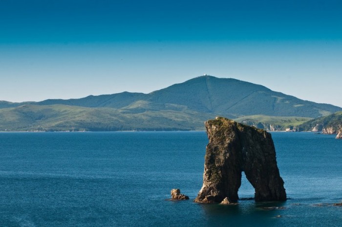 Фотовыставка «Морские жители Земли Леопарда» откроется в Дарвиновском музее