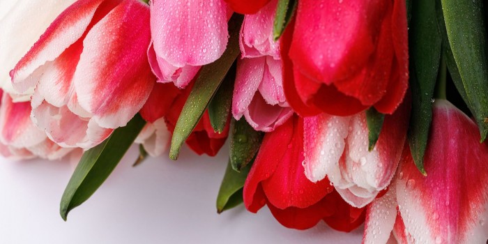 Праздничный вечер «Любимым, нежным и прекрасным!» состоится 6 марта в Ясеневе