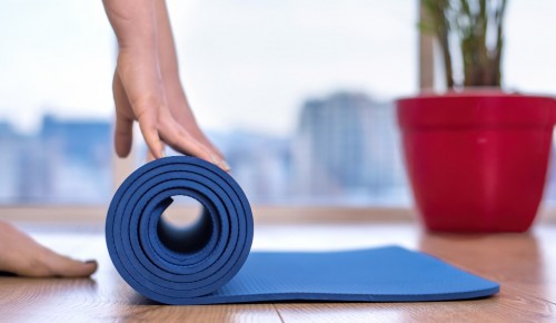 Жители Гагаринского района могут записаться на тренинг с сиббордом