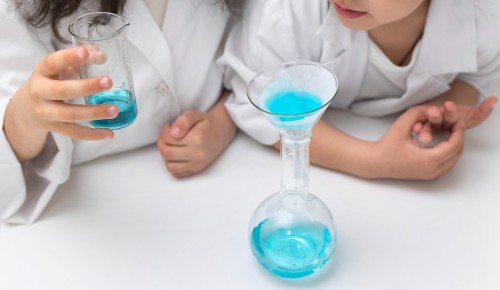 В библиотеке №169 «Проспект» пройдет интерактивное занятие 21 марта