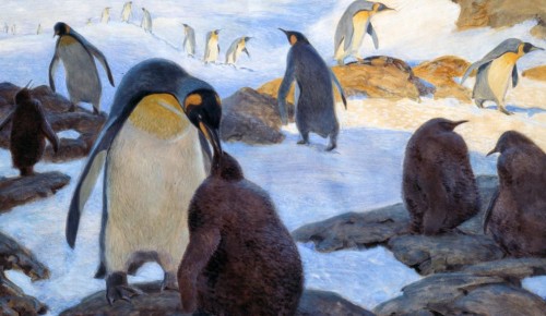 В Дарвиновском музее открылась экспозиция, посвященная пингвинам