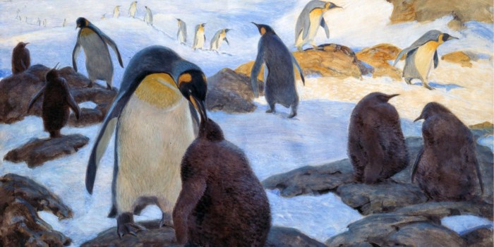 Дарвиновский музей приглашает на выставку «Пингвины»