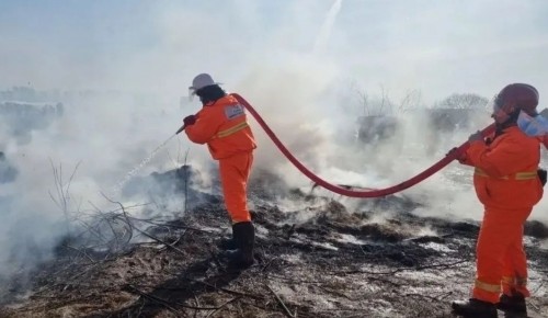 ГБУ «Жилищник района Коньково» принял участие в масштабных командно-штабных учениях