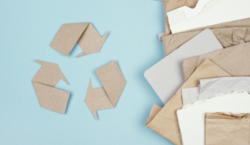 Весенний «Бумажный бум» пройдет в школе №2115