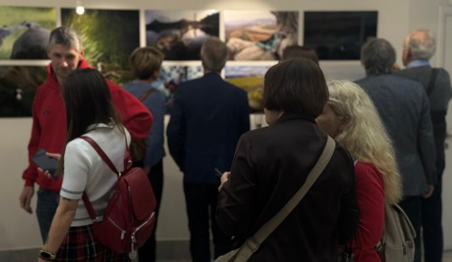 Галерея «Беляево» приглашает на фотовыставку «Ритм стихий»