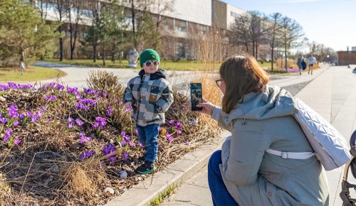 Усадьба Воронцово приглашает на развлекательные мероприятия 28 и 29 марта