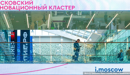Наталья Сергунина: портал Московского инновационного кластера усовершенствовали для пользователей