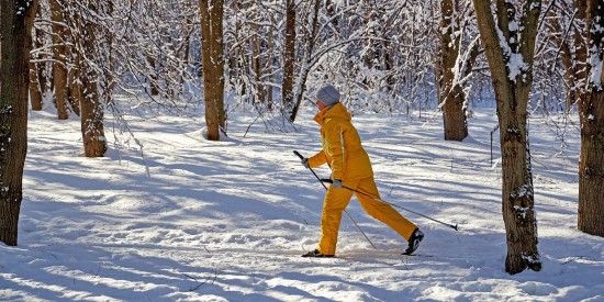 В Воронцовском парке проложили лыжные трассы для взрослых и детей
