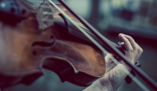 "Магия скрипки": Школа акварели Сергея Андрияки организует новый онлайн-концерт