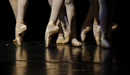 Основные техники растяжки балерин покажут на онлайн-занятиях Воронцовского парка