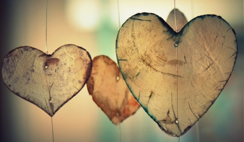 Воронцовский парк покажет мастер-класс по изготовлению панно в виде сердца