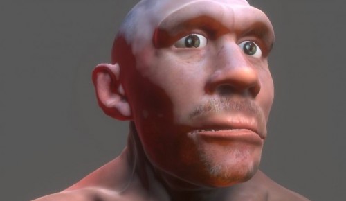 В Дарвиновском музее появился «общительный» неандерталец