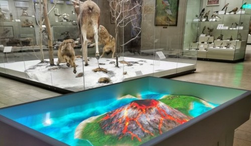 В Дарвиновском музее появился новый интерактивный экспонат «Рельеф Земли»