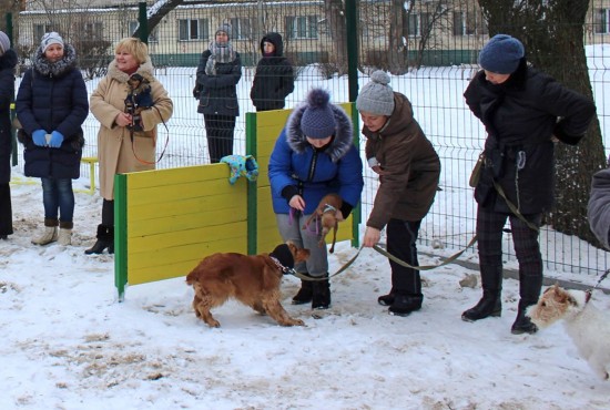 На площадке для выгула собак возле МФЦ Академического района будет установлено освещение