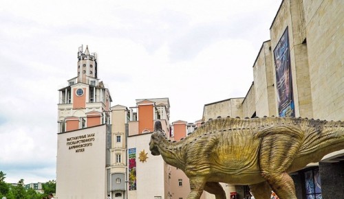 Дарвиновский музей получил в дар таксидермические скульптуры африканских животных