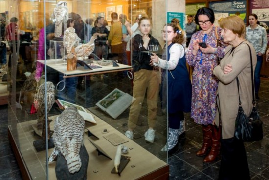 Для посетителей Дарвиновского музея открылась выставка «Совы» 