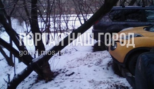 Угрожающее машинам на парковке дерево удалено с дворовой территории