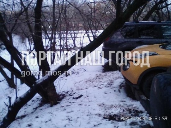 Угрожающее машинам на парковке дерево удалено с дворовой территории