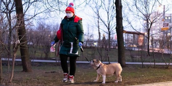 Волонтеры Москвы ежедневно выгуливают 120 собак московских пенсионеров 