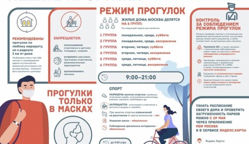 Введение графика прогулок обезопасит москвичей от риска заражения COVID-19