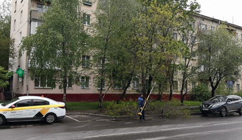 С деревьев на улице Винокурова в Академическом районе срезали лишние ветки