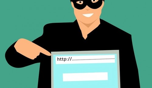 Жителей Академического района предупреждают об активности мошеннических сайтов-двойников