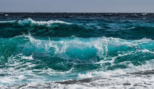 Всемирный день океанов отметит Институт океанологии имени П. П. Ширшова