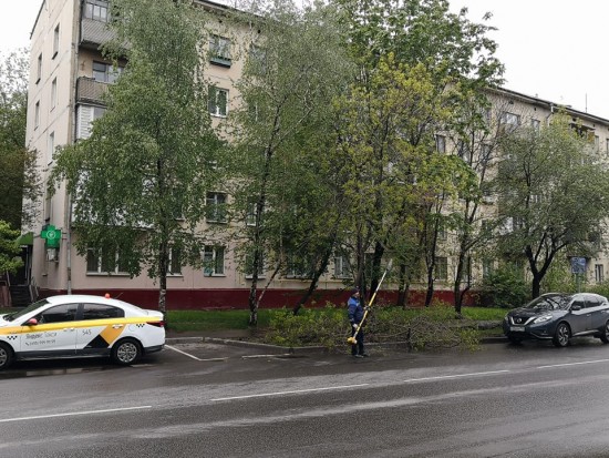 С деревьев на улице Винокурова в Академическом районе срезали лишние ветки