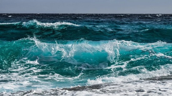 Всемирный день океанов отметит Институт океанологии имени П. П. Ширшова
