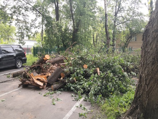 В Академическом районе на улице Шверника срубили опасные деревья