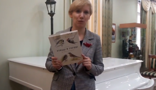 Есенинка приглашает читателей познакомиться с книгой «Птицы в городе»