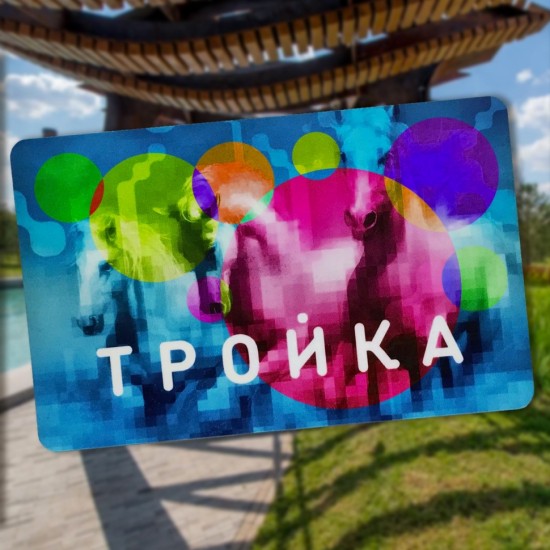 Фотография южнобутовского парка может украсить карту "Тройка" 