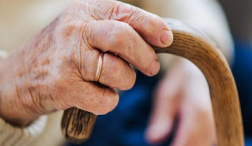 Онлайн-лекцию «Деревянное зодчество Русского Севера» могут прослушать пенсионеры из Академического района