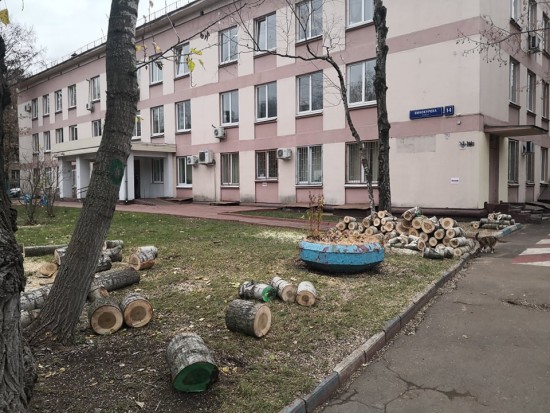 В Академическом районе убрали сухие деревья с территории детской поликлиники № 69