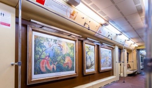 В столичной подземке курсирует поезд «Акварель» с работами анималистов из фондов Дарвиновского музея