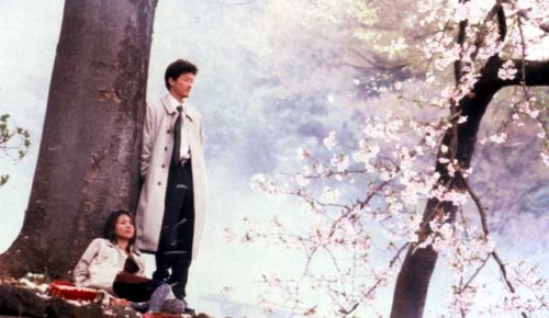 В кинотеатре “Салют” покажут японскую драму “Цветок на ветру” бесплатно 