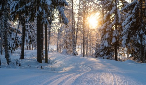 В Воронцовском парке можно прокатиться на лыжах по двум маршрутам