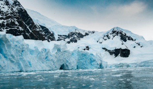 В Воронцовском парке пройдет фотовыставка «Открываем Антарктику вместе»