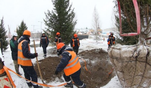В 2020 году в Москве благоустроят 45 улиц и 183 парка