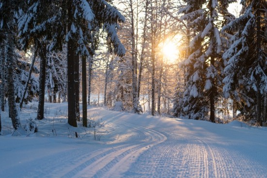 В Воронцовском парке можно прокатиться на лыжах по двум маршрутам