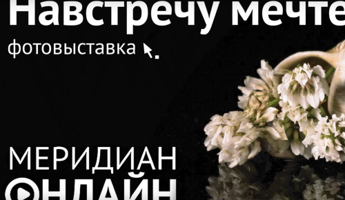 В «Меридиане» проходит онлайн-выставка Татьяны Чистовой