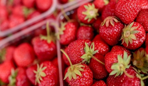 На круглогодичной ярмарке в Черемушках можно купить сезонные ягоды 