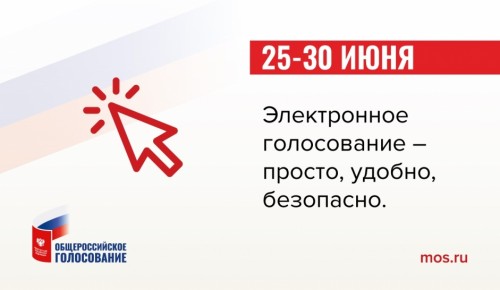 Электронное голосование по поправкам в Конституцию РФ пройдет с 25 по 30 июня 
