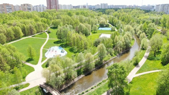 Депутат Мосгордумы: Озеленение города играет весомую роль в повышении комфортности городской среды